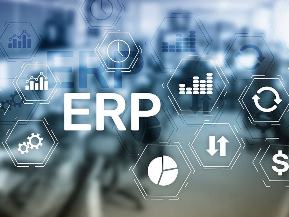 ERP Uzmanlık Programı