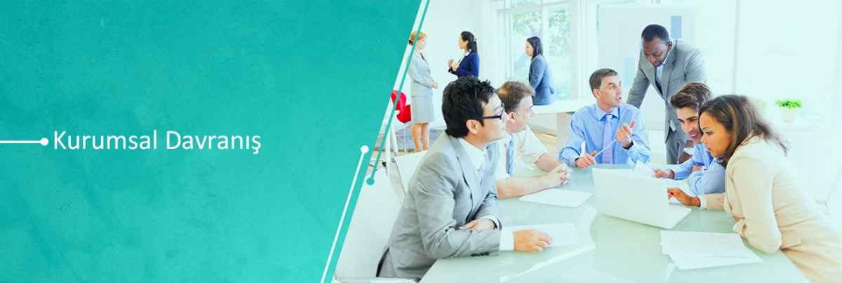 imes osb mükemmeliyet merkezi